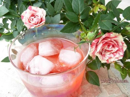 bebida de rosa libanesa (enfermaria de sharab)