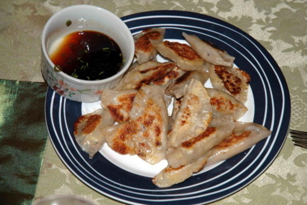 gyoza japonês