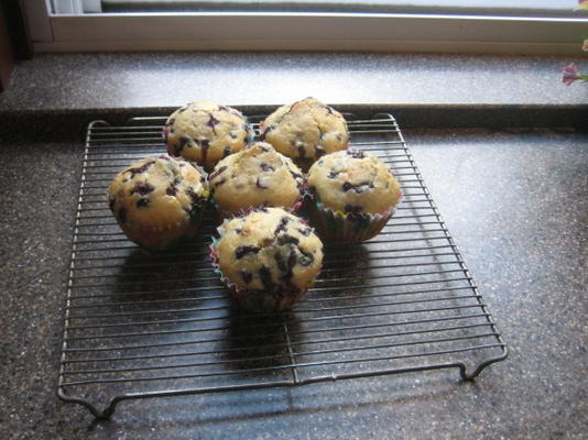 qualquer receita de muffins