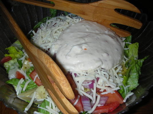 salada de casa italiana de queijo com molho de queijo parmesão