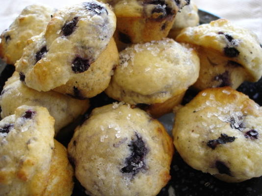 muffins de cheesecake de mirtilo