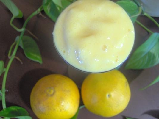 smoothie de laranja julius