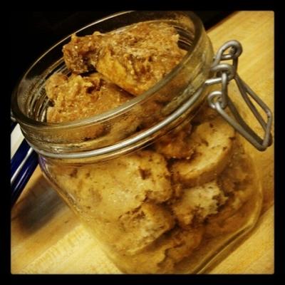 fudge de atum treinos de cão