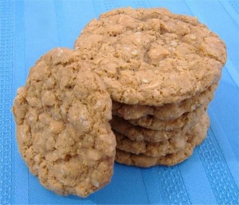 biscoitos de pudim de caramelo de aveia (ou caramelo)