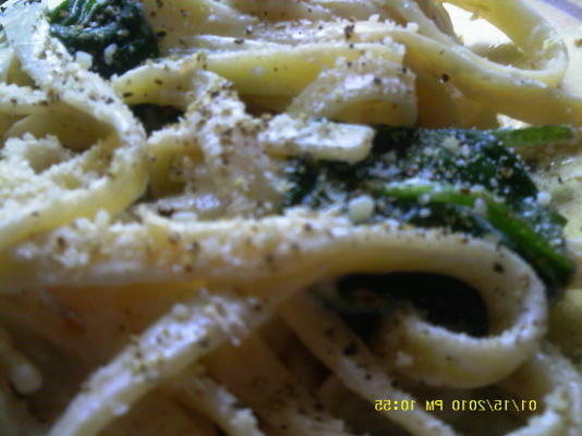 fettuccine de espinafre