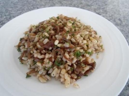 arroz integral e salada de cebola caramelizada