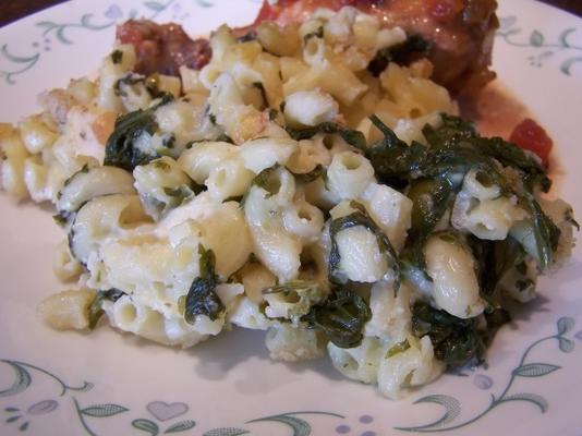 macarrão com queijo defumado