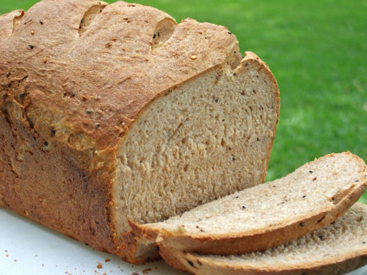 pão de soro de leite integral trigo semeado (máquina de pão)