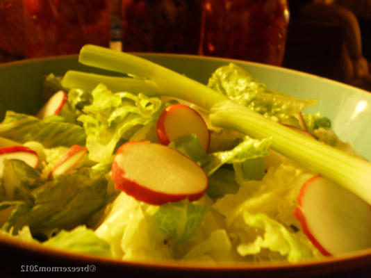 salada com rabanete e cebolinha