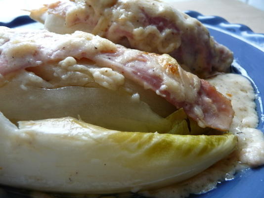 endívia belga envolto em presunto com queijo / lof met ham en kaas