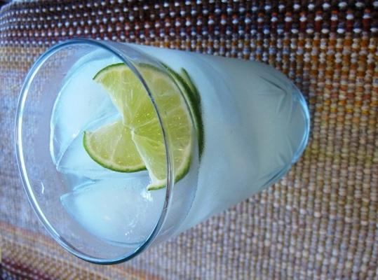 gin rickey