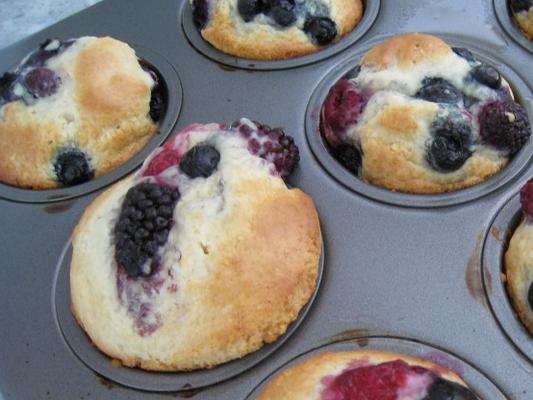 muffins de mirtilo jumbo (ou cranberry)