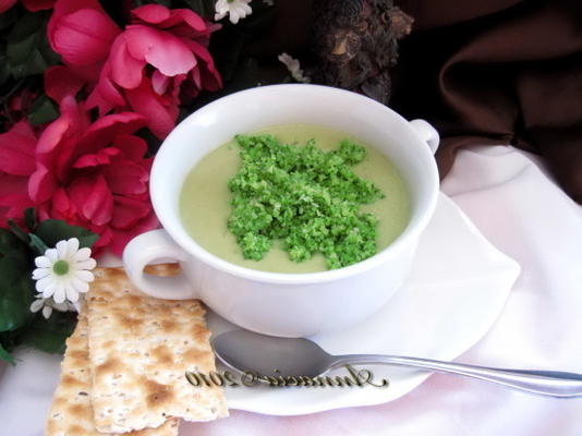 sopa de brócolis casa branca