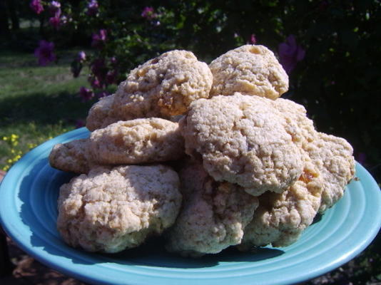 bolinhos de gengibre macios (biscoitos)