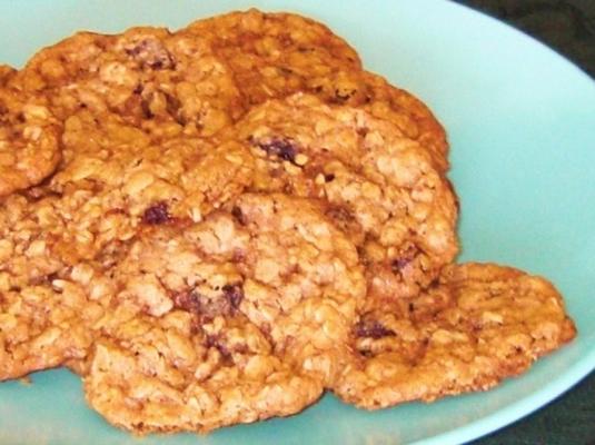 biscoitos de especiarias aveia raisin em uma jarra