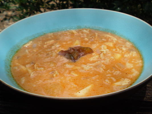 a sopa mulligatawny do memsahib: sopa curry anglo-indiana