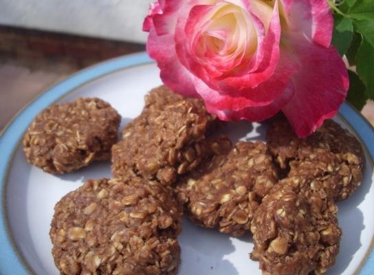 biscoitos de aveia de chocolate não-assar saudáveis