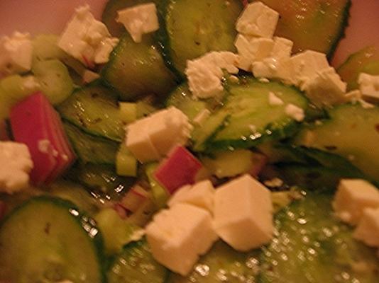 salada de cebola pepino
