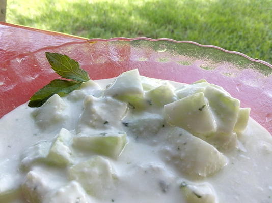 salada de pepino com iogurte (oriente médio, palestina)