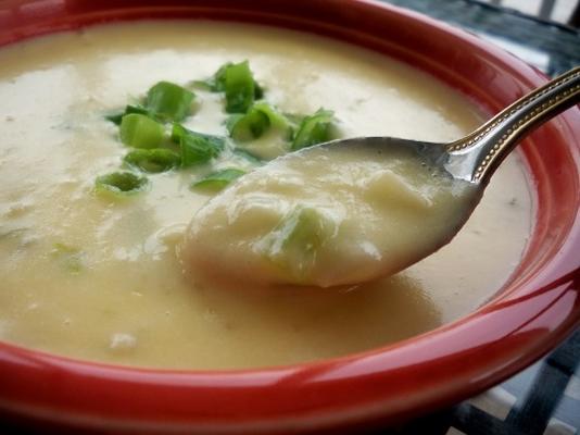 sopa de queijo taverna