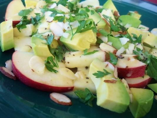 abacate e salada de maçã (ensalada de aguacate y manzana)