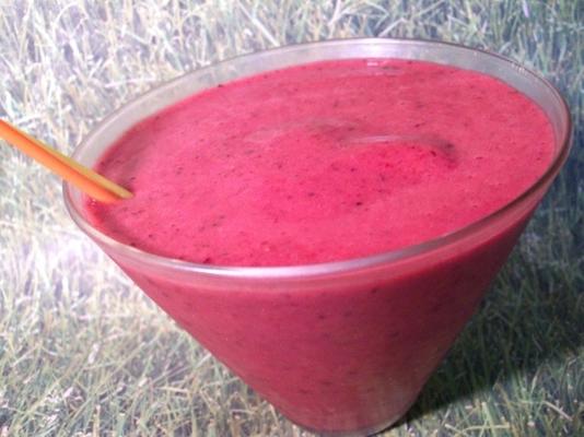 t-o-h berry melhor smoothie