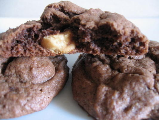 biscoitos de manteiga de amendoim duplos de chocolate duplo