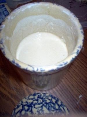 alaska sourest dough (starter)