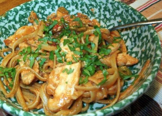 fettuccine tailandês da galinha, estilo do sudoeste