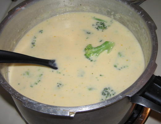 sopa de queijo e brócolis