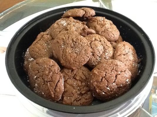 biscoitos de chocolate com cacau em pó de hershey