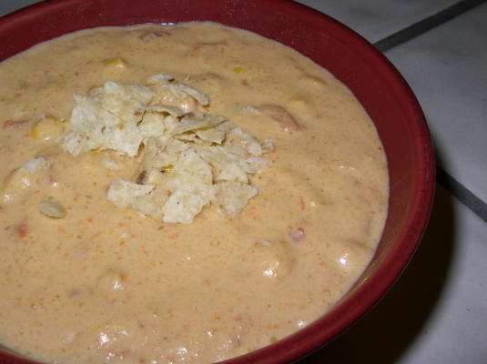 fiesta vegetariana com sopa de queso