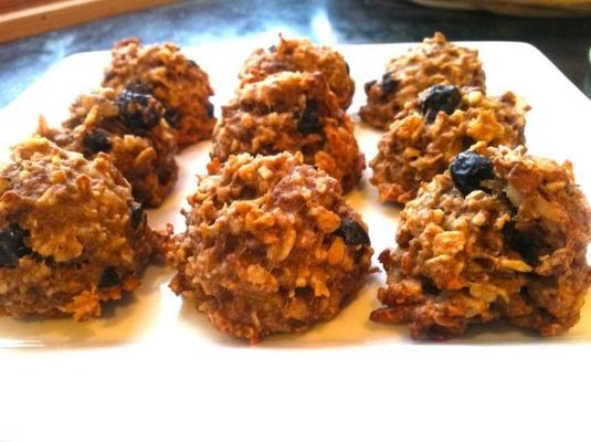 biscoitos de aveia com cranberry-noz (vegan e sem glúten)