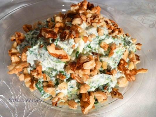 iogurte iraniano e mergulho de espinafre - borani esfanaaj