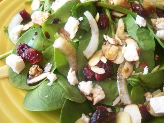 salada de espinafre craisins