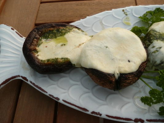 pesto grelhado cogumelos