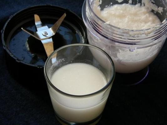 faça o seu próprio leite de coco