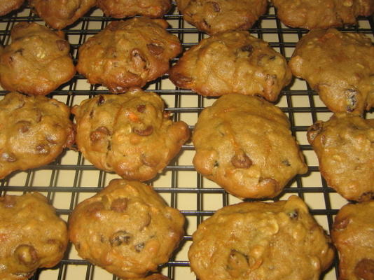 bolinhos de microplaqueta de chocolate da visão do raio X