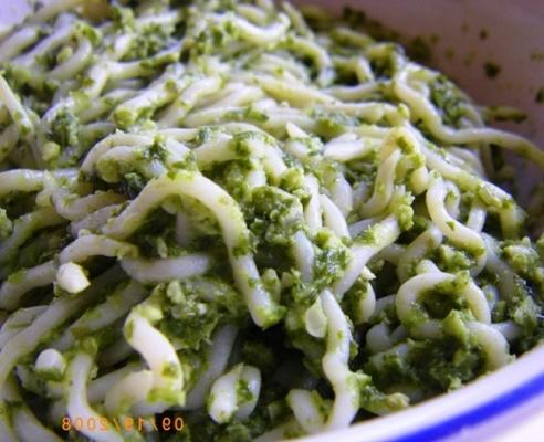 macarrão shirataki pesto fácil