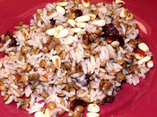 arroz, lentilhas e cranberries secas guarnecidas com pinhões