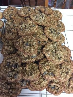 biscoitos de aveia secos cranberry-noz