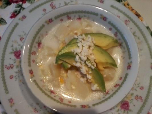 locro (sopa de batata e queijo equatoriana)