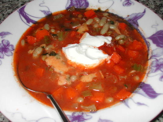 sopa de lentilha e feijão