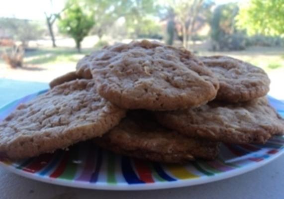 fatia 'n' assar biscoitos de arroz krispies