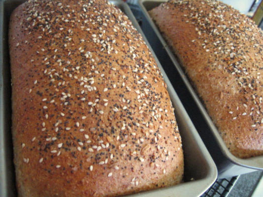 pão de trigo integral úmido, leve e fofo