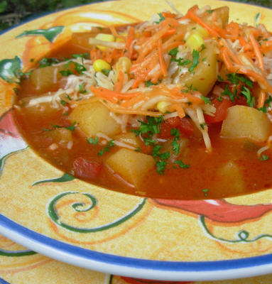 sopa de batata tex-mex do sherri