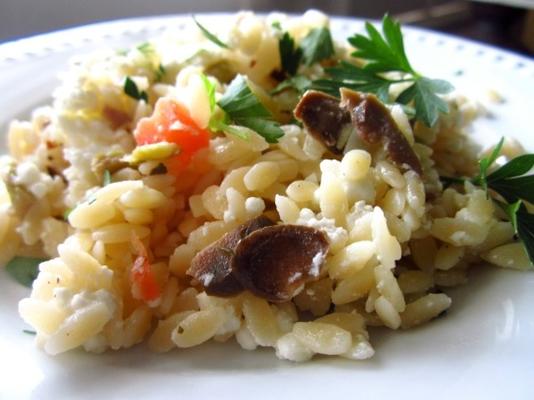 queijo orzo com sabor de queijo feta