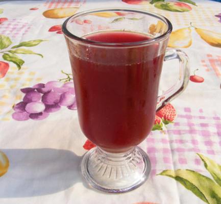 ponche - soco de cranberry chileno