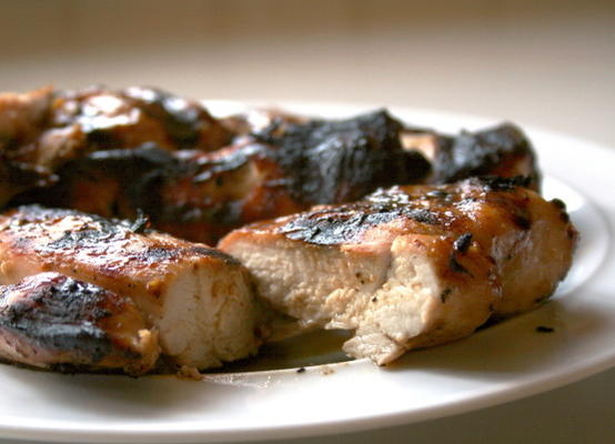 canadense - esmalte de xarope de bordo para peixe e carne
