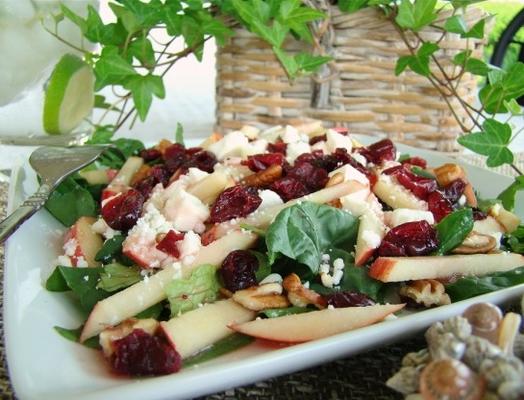 salada de maçã-espinafre cranberry